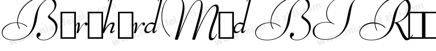 BernhardMod BT Roman字体转换